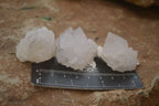 Natural White Cactus Flower Spirit Quartz Specimens x 70 From Boekenhouthoek, South Africa - Toprock Gemstones and Minerals 