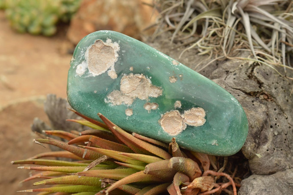 Polished Large Green Mtorolite / Chrome Chrysoprase Free Forms  x 6 From Mutorashanga, Zimbabwe - TopRock