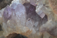 Natural Jacaranda Amethyst Cluster x 1 From Mumbwa, Zambia - TopRock