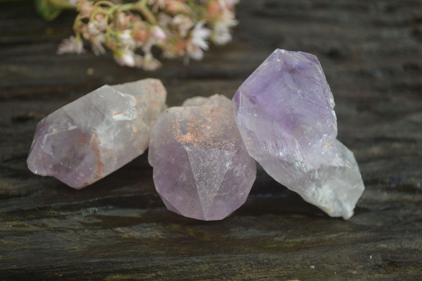 Natural Jacaranda Amethyst Crystals x 35 From Mumbwe, Zambia - Toprock Gemstones and Minerals 
