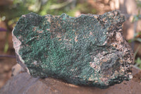 Natural Crystalline Micro Botryoidal Malachite Specimens  x 2 From Congo - Toprock Gemstones and Minerals 