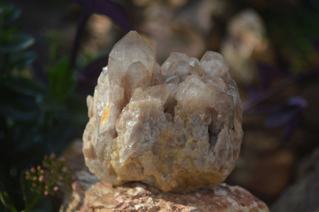 Natural Smokey Quartz Clusters  x 3 From Luena, Congo - Toprock Gemstones and Minerals 