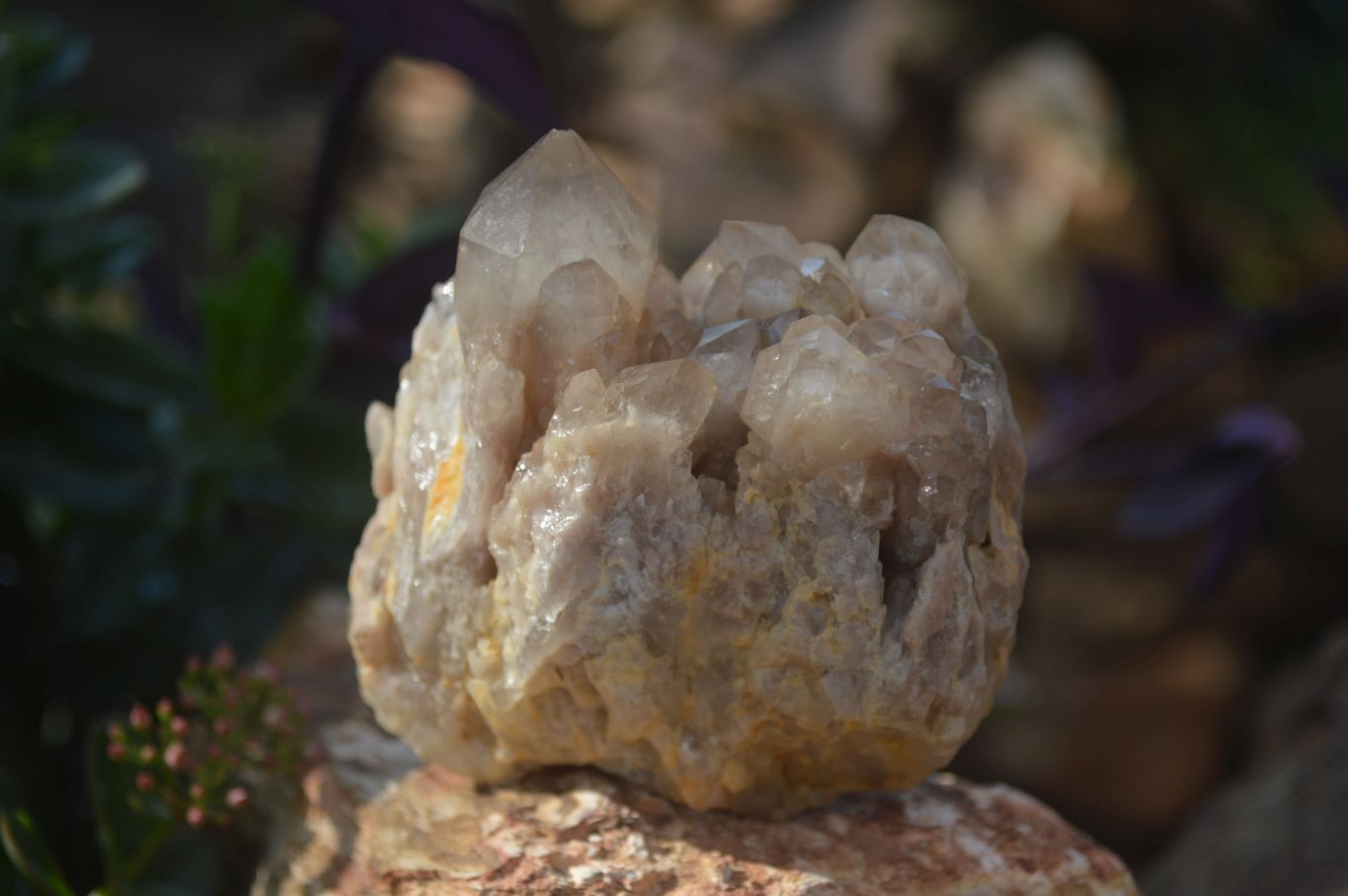 Natural Smokey Quartz Clusters  x 3 From Luena, Congo - Toprock Gemstones and Minerals 