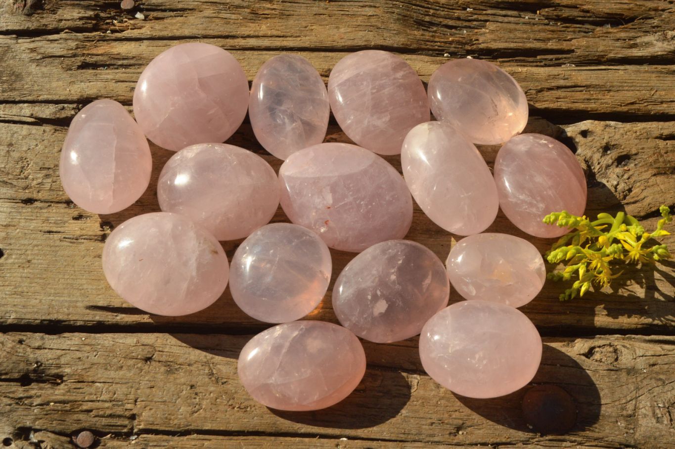 Polished Highly Selected Gemmy Pink Rose Quartz Palm Stones x 24 From Madagascar - TopRock