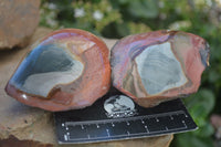Polished One Side Polished Polychrome Jasper Nodules  x 6 From Mahajanga, Madagascar - Toprock Gemstones and Minerals 