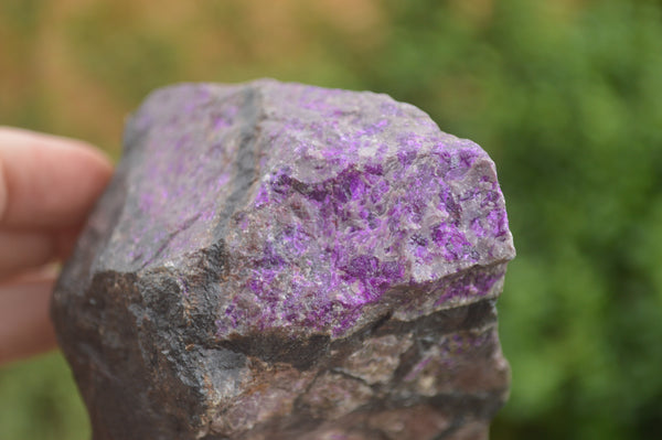 Natural XXX Rare Deep Purple Wessels Mine Sugilite Specimen x 1 From Wessels Mine, South Africa - TopRock