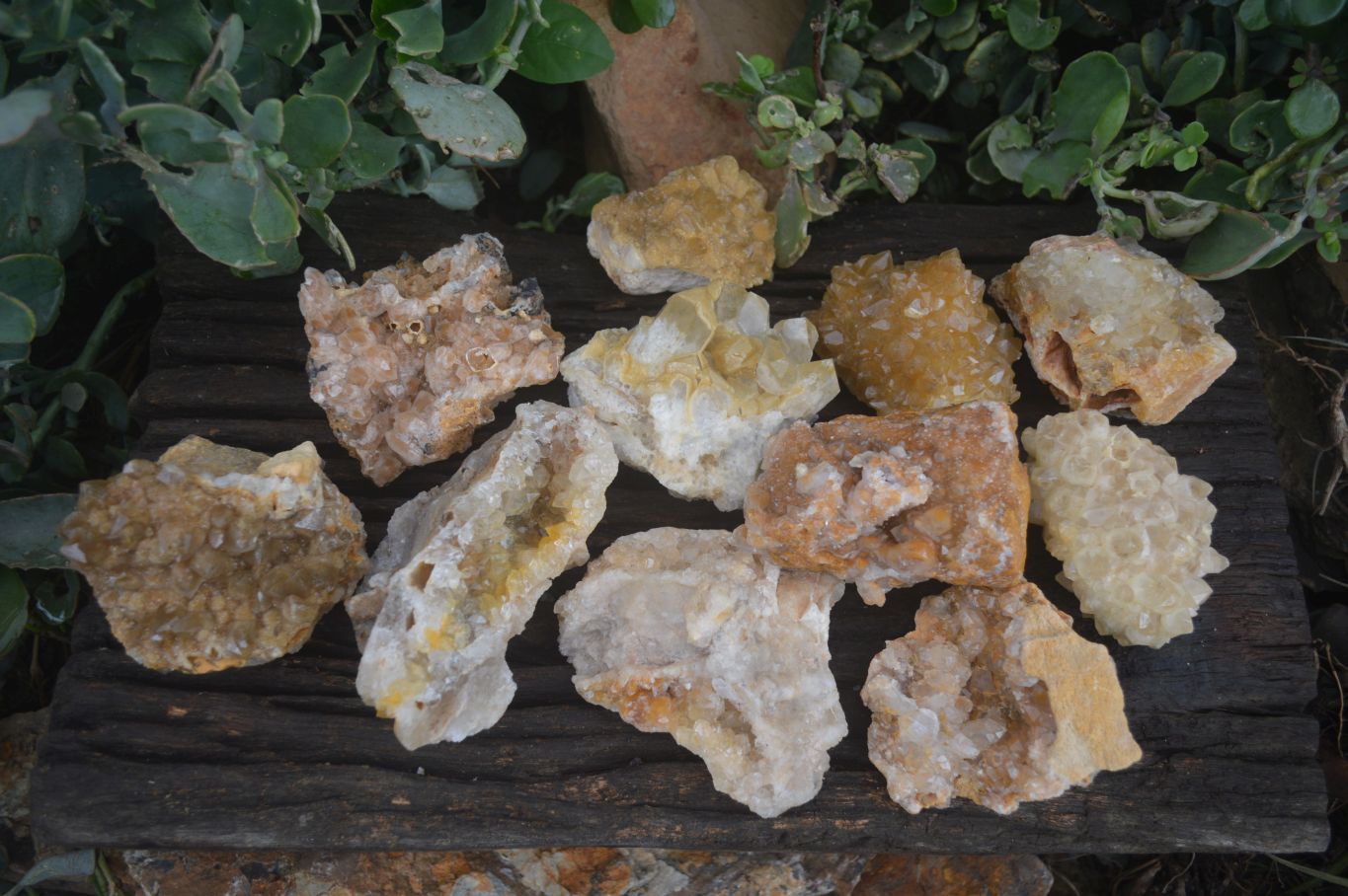 Natural Golden Limonite / Lemonite Quartz Clusters  x 12 From Zambia - Toprock Gemstones and Minerals 