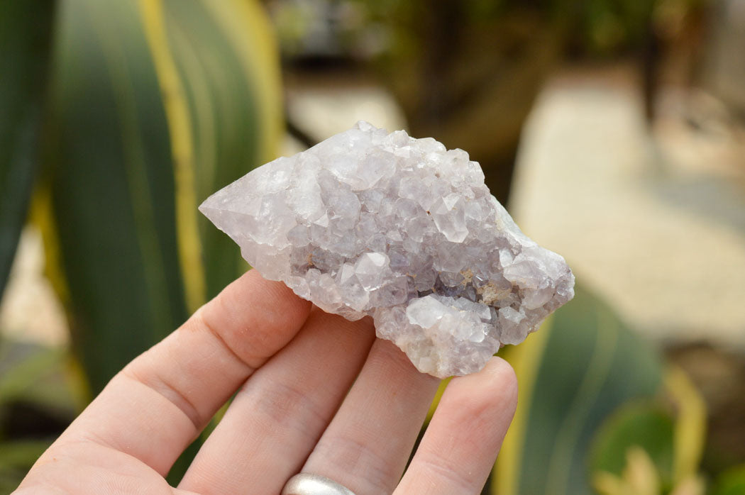 Natural Lovely Selection Of Spirit / Cactus Quartz Clusters  x 12 From Boekenhouthoek, South Africa - TopRock