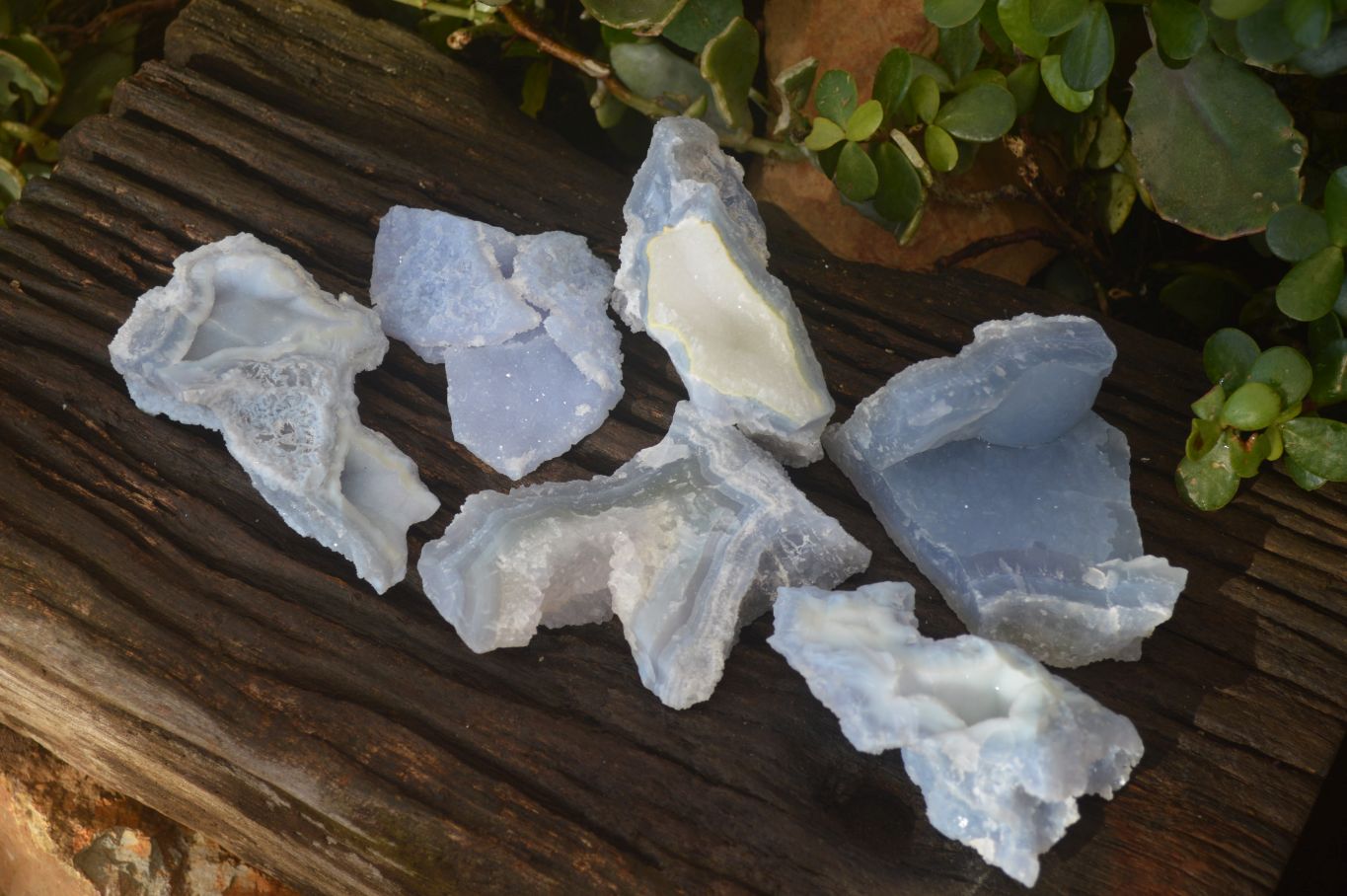Natural Etched Blue Chalcedony Specimens  x 6 From Nsanje, Malawi - Toprock Gemstones and Minerals 