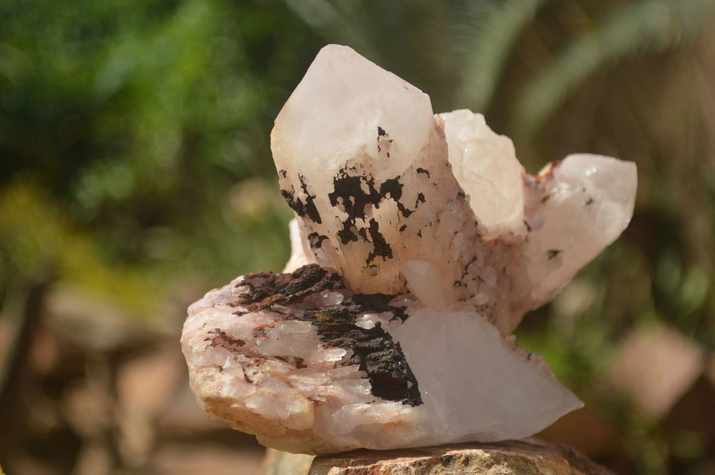 Natural Candle Quartz Clusters  x 5 From Madagascar - TopRock