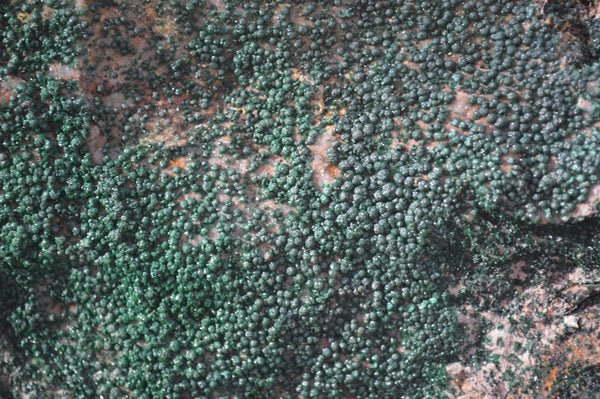 Natural Crystalline Micro Botryoidal Malachite Specimens  x 2 From Congo - Toprock Gemstones and Minerals 
