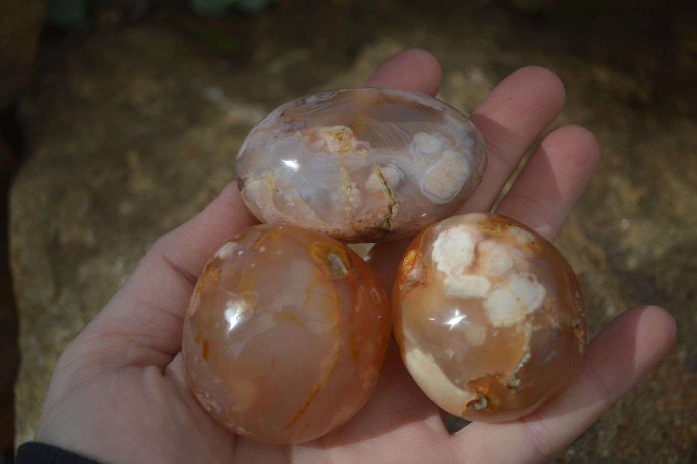 Polished Ocean  Flower Agate Palm Stones  x 12 From Madagascar - Toprock Gemstones and Minerals 