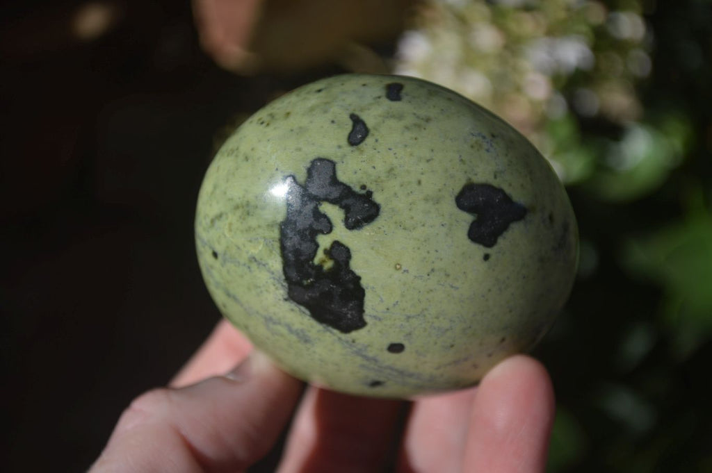 Polished Spotted Leopard Stone Free Forms  x 6 From Zimbabwe - Toprock Gemstones and Minerals 