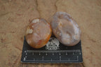 Polished Ocean  Flower Agate Palm Stones  x 12 From Madagascar - Toprock Gemstones and Minerals 