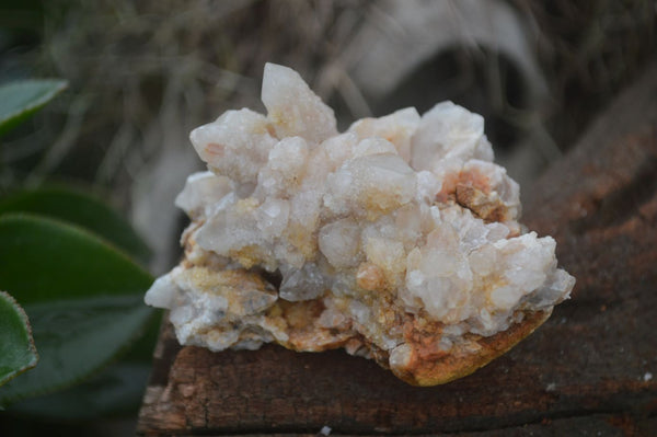 Natural Fairy Spirit Quartz Crystals  x 38 From Boekenhouthoek, South Africa - TopRock
