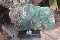 Natural Crystalline Micro Botryoidal Malachite Specimens  x 2 From Congo - Toprock Gemstones and Minerals 