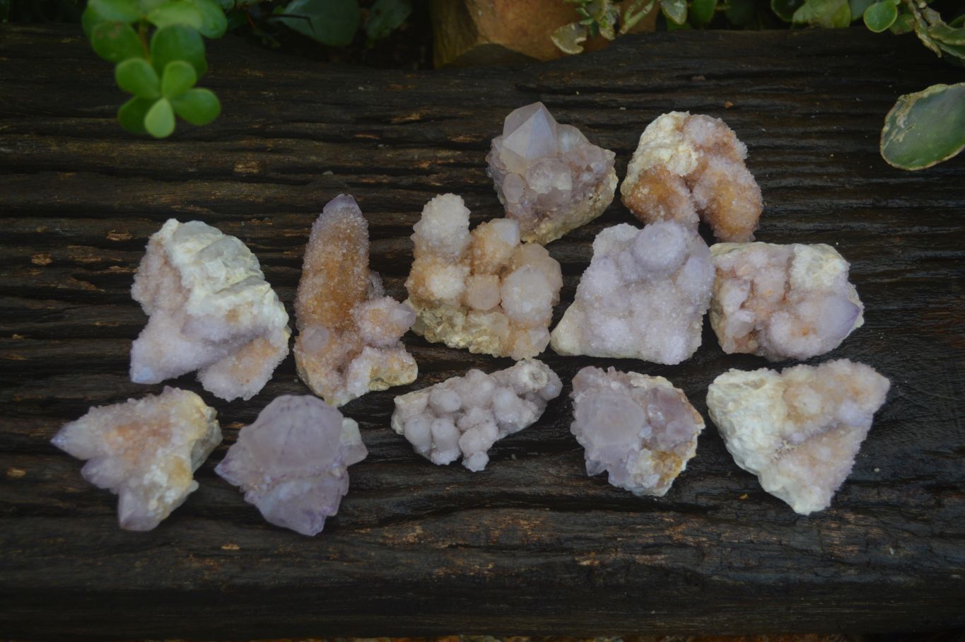 Natural Spirit Amethyst Quartz Specimens  x 12 From Boekenhouthoek, South Africa - Toprock Gemstones and Minerals 