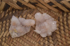 Natural White Cactus Flower Spirit Quartz Specimens x 70 From Boekenhouthoek, South Africa - Toprock Gemstones and Minerals 