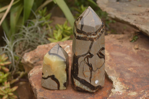 Polished Septaria (Yellow Calcite & Aragonite) Points x 2 From Mahajanga, Madagascar - TopRock