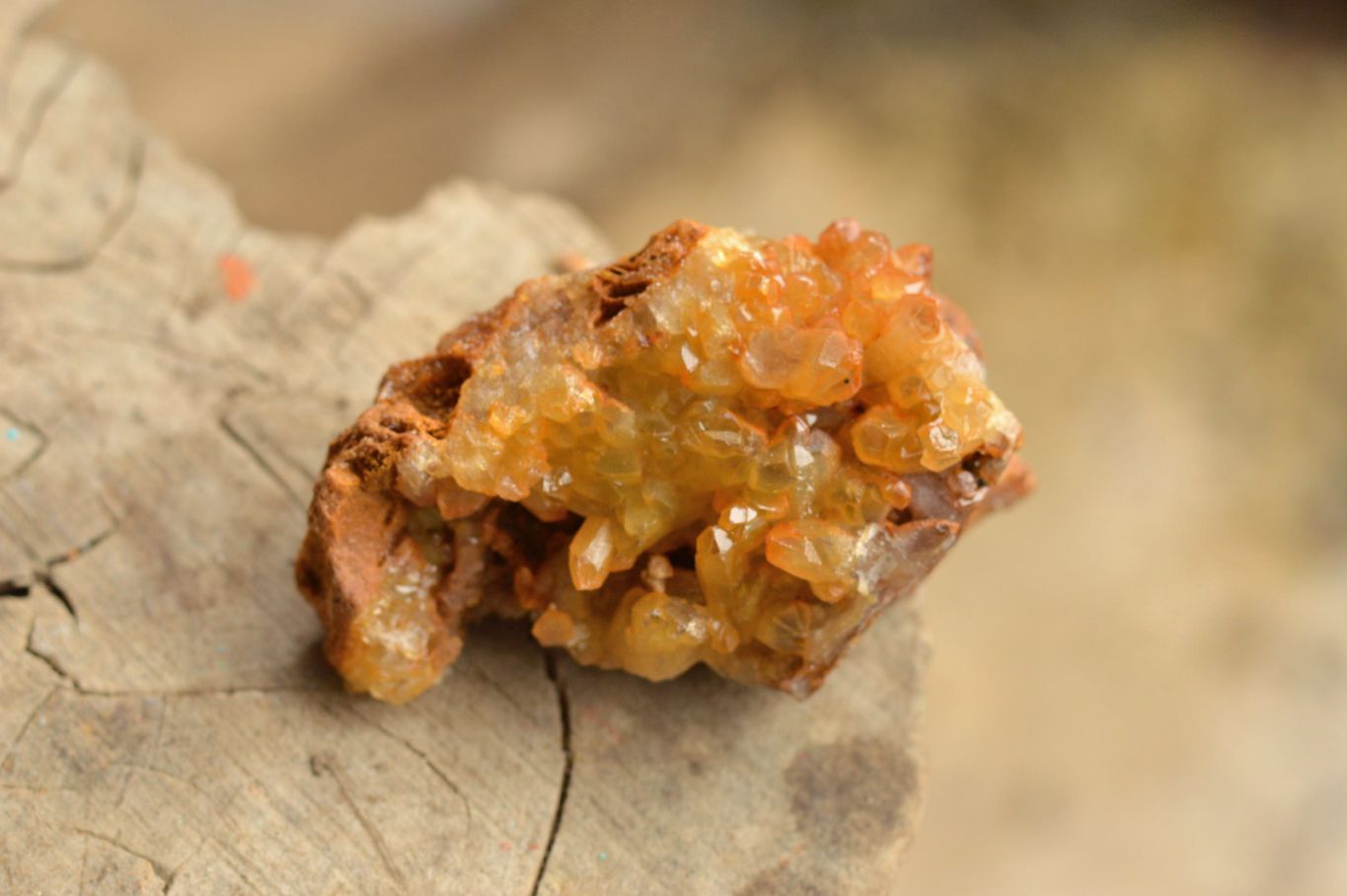 Natural Small Golden Limonite / Lemonite Quartz Clusters  x 12 From Mwinilunga, Zambia - TopRock