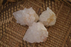 Natural White Cactus Flower Spirit Quartz Specimens x 70 From Boekenhouthoek, South Africa - Toprock Gemstones and Minerals 