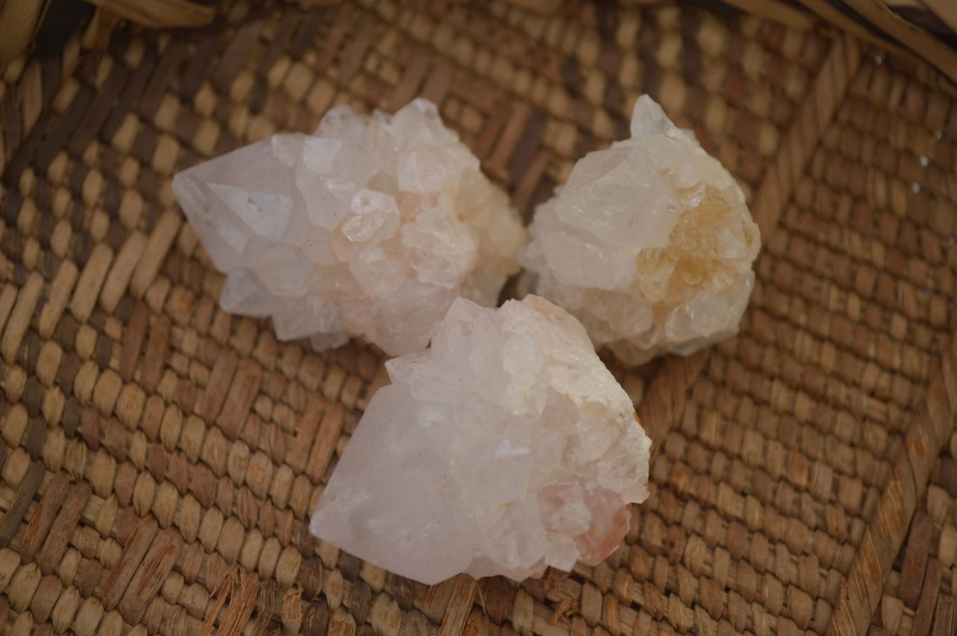 Natural White Cactus Flower Spirit Quartz Specimens x 70 From Boekenhouthoek, South Africa - Toprock Gemstones and Minerals 
