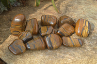 Polished Golden Tigers Eye Free Forms x 12 From Prieska, Northern Cape - Toprock Gemstones and Minerals 