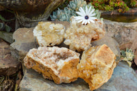 Natural Golden Limonite / Lemonite Quartz Clusters  x 4 From Solwezi, Zambia - TopRock