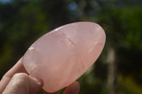 Polished  Pink Rose Quartz Standing Free Forms x 4 From Ambatondrazaka, Madagascar - TopRock