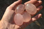 Polished Highly Selected Gemmy Pink Rose Quartz Palm Stones x 24 From Madagascar - TopRock