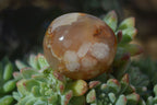 Polished Ocean  Flower Agate Palm Stones  x 12 From Madagascar - Toprock Gemstones and Minerals 