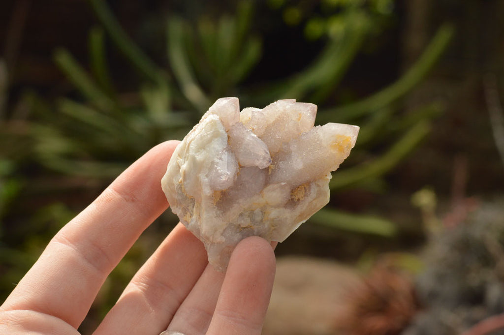 Natural Lovely Selection Of Spirit / Cactus Quartz Clusters  x 12 From Boekenhouthoek, South Africa - TopRock