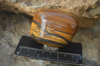 Polished Golden Tigers Eye Free Forms x 12 From Prieska, Northern Cape - Toprock Gemstones and Minerals 