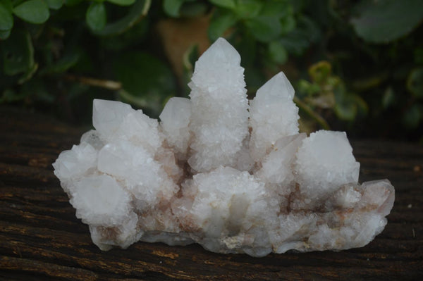 Natural White & Pale Lilac Cactus Spirit Quartz Clusters  x 4 From Boekenhouthoek, South Africa - Toprock Gemstones and Minerals 