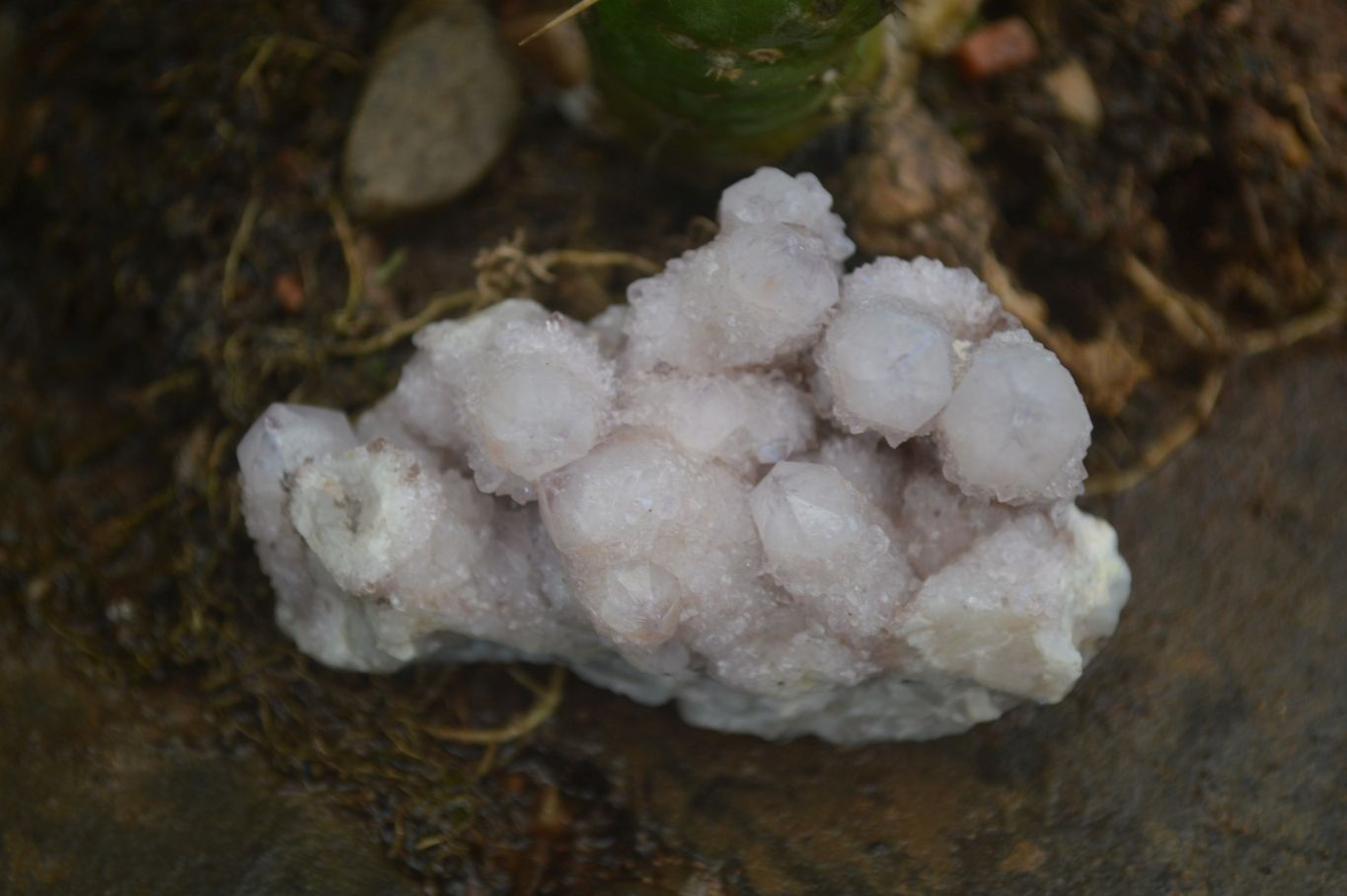 Natural Spirit Amethyst Quartz Specimens  x 12 From Boekenhouthoek, South Africa - Toprock Gemstones and Minerals 
