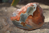 Polished One Side Polished Polychrome Jasper Nodules  x 6 From Mahajanga, Madagascar - Toprock Gemstones and Minerals 
