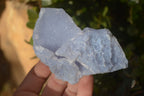 Natural Etched Blue Chalcedony Specimens  x 6 From Nsanje, Malawi - Toprock Gemstones and Minerals 