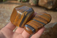 Polished Golden Tigers Eye Free Forms x 12 From Prieska, Northern Cape - Toprock Gemstones and Minerals 