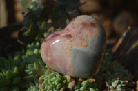 Polished Polychrome Jasper Hearts  x 6 From Madagascar