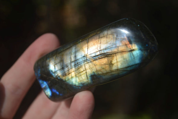 Polished Flashy Labradorite Standing Free Forms  x 3 From Tulear, Madagascar - Toprock Gemstones and Minerals 