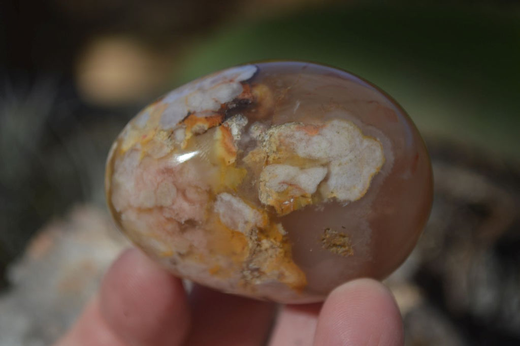 Polished Ocean  Flower Agate Palm Stones  x 12 From Madagascar - Toprock Gemstones and Minerals 