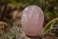 Polished  Pink Rose Quartz Standing Free Forms x 4 From Ambatondrazaka, Madagascar - TopRock