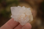 Natural White Cactus Flower Spirit Quartz Specimens x 70 From Boekenhouthoek, South Africa - Toprock Gemstones and Minerals 