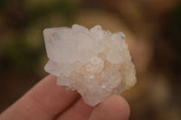 Natural White Cactus Flower Spirit Quartz Specimens x 70 From Boekenhouthoek, South Africa - Toprock Gemstones and Minerals 
