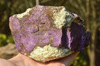 Natural Rare Metallic Purpurite Cobbed Specimens  x 2 From Namibia - TopRock