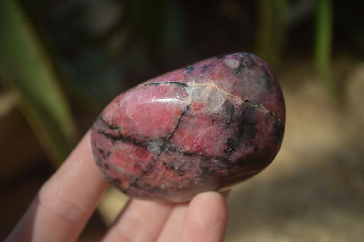 Polished Rhodonite Galet / Palm Stones x 12 From Zimbabwe - Toprock Gemstones and Minerals 