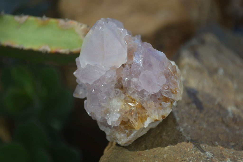 Natural Spirit Amethyst Quartz Specimens  x 12 From Boekenhouthoek, South Africa - Toprock Gemstones and Minerals 