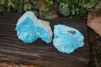 Natural Botryoidal Chrysocolla Specimens x 2 From Congo - Toprock Gemstones and Minerals 