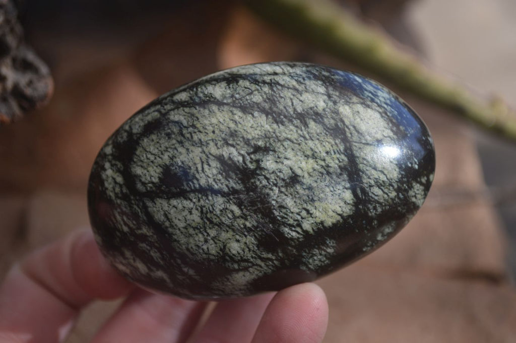 Polished Spotted Leopard Stone Free Forms  x 6 From Zimbabwe - Toprock Gemstones and Minerals 