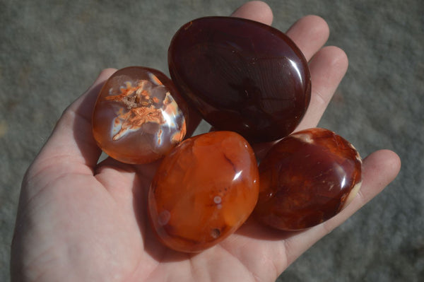 Polished Carnelian Agate Palm Stones  x 12 From Madagascar - Toprock Gemstones and Minerals 